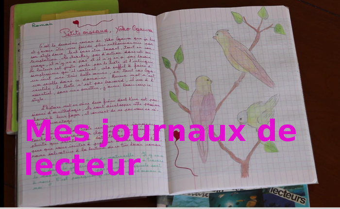 VIDEO - Mes journaux de lecteur