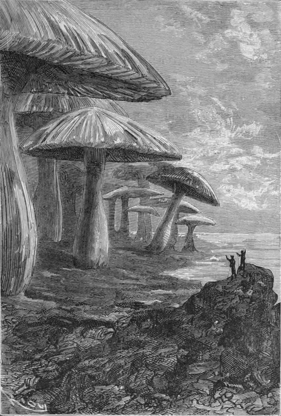'Journey_to_the_Center_of_the_Earth'_by_Édouard_Riou_38