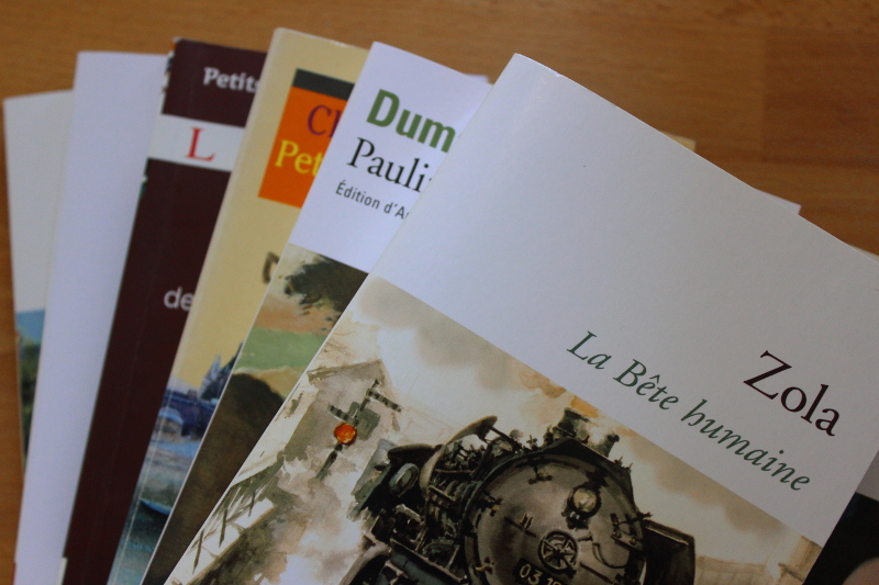 “Pourquoi lis-tu autant de classiques ?”