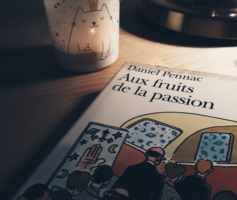 Aux fruits de la passion, Daniel Pennac